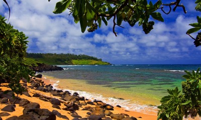 Beach Shade, Moloaa, Kauai, Hawaii