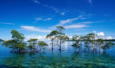 Havelock Island, Andaman and Nicobar Islands, India