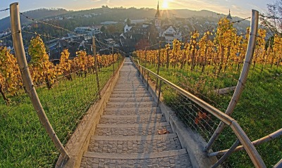 Vineyard at Sunset, Munot Castle, Schaffhausen, Switzerland