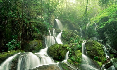 Cliff Branch Falls, Great Smoky Mountains National Park, Tennessee