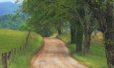 Country Road through Cades Cove, Great Smoky Mountains, Tennessee