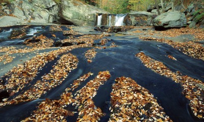 Tellico River, Cherokee National Forest, Tennessee