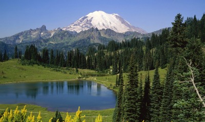 Natural Beauty, Mount Rainier National Park, Washington