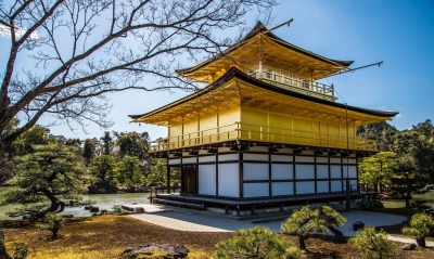 япония храм река деревья