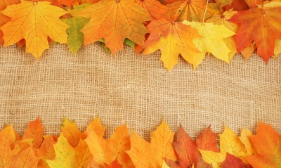 Листья осень ткань