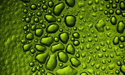 капли зеленые drops green