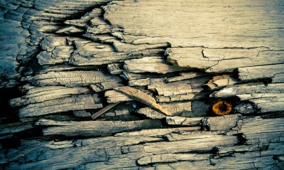 древесина текстура дерево