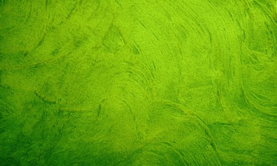 зеленая текстура