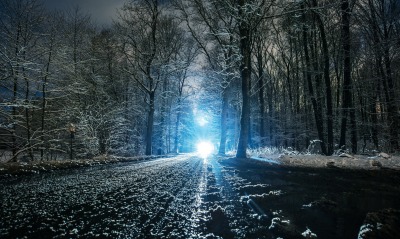 дорога свет лес зима