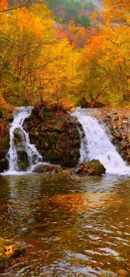 водопад лес речка осень вода