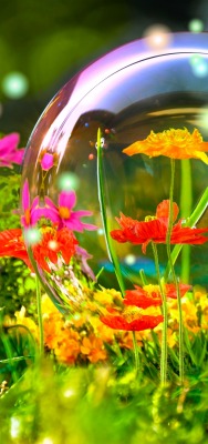 цветы краски пузырь