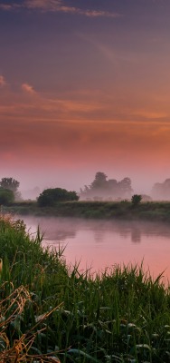 река утро рассвет туман