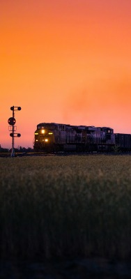 поезд горизонт поле на закате
