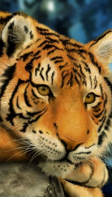 Тигр в раздумьях