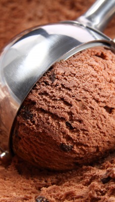 шоколадное мороженое с изюмом