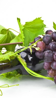 Виноград вино гроздь ветка
