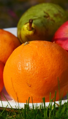 натюрморт апельсин яблоки на тарелке