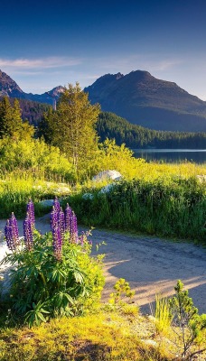 лето дорога камни озеро горы цветы