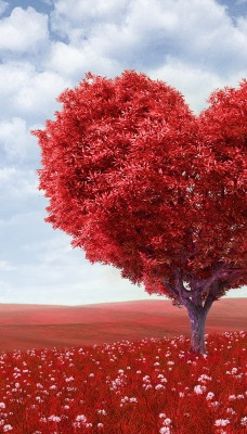 Сердце дерево поле красное