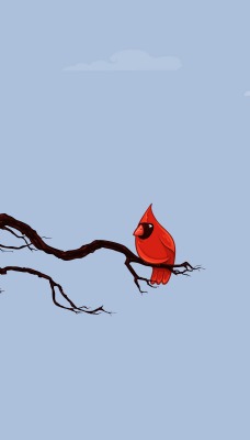 птичка ветка снегирь bird branch bullfinch