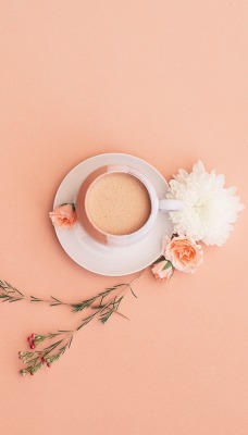 чашка цветок минимализм