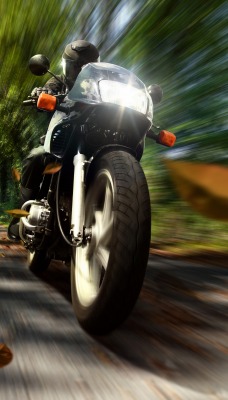 Мотоциклист мчащийся по лесу
