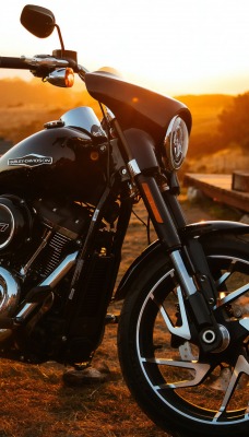 мотоцикл харлей черный кемпинг