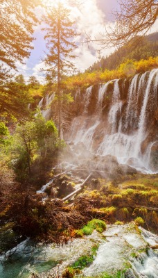 водопад в лесу деревья природа