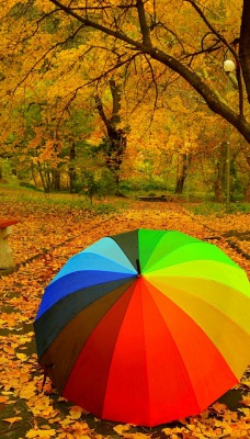 парк зонт радужный листва осень