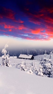 природа небо горизонт зима снег деревья туман облака