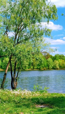 весна озеро зелень