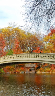 мост осень деревья