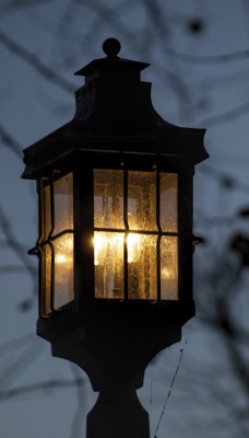 фонарь освещение деревья небо