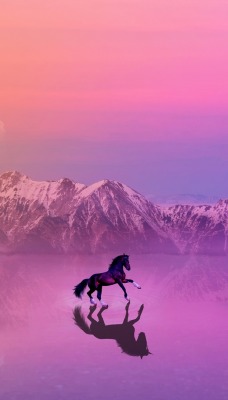 лошадь вода горы фиолетовый