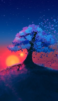 дерево солнце закат небо