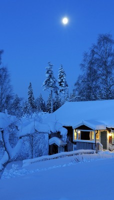 зима деревья дом снег