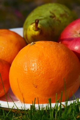 натюрморт апельсин яблоки на тарелке