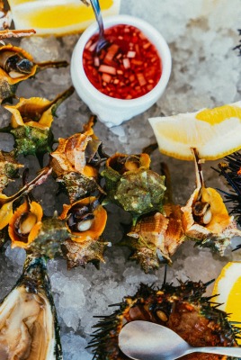 моллюски морепродукты еда