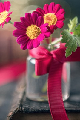 цветы ваза фиолетовый лепестки