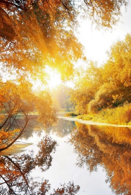 речка осень рассвет the river autumn dawn
