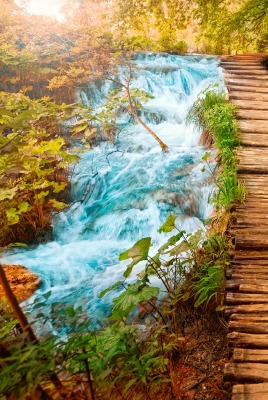 природа мост осень река