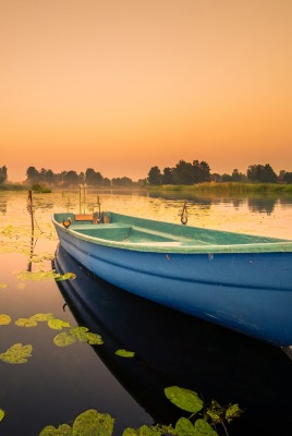 лодка водоем кувшинки на закате