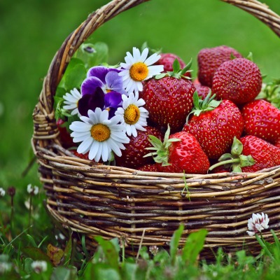 клубника корзина strawberry basket