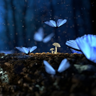бабочки синие мотыльки грибы фантастика