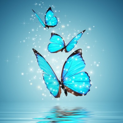 Бабочки частицы голубые