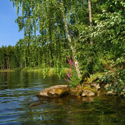 Камни в озере