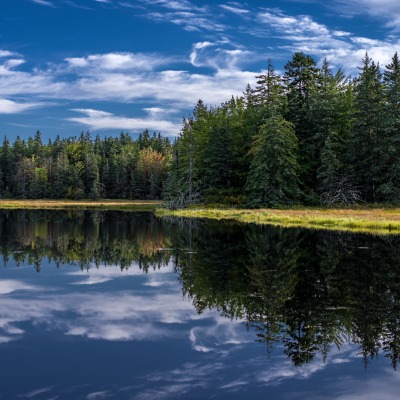 озеро штиль лес отражение