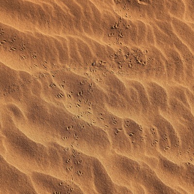 песок пустыня следы