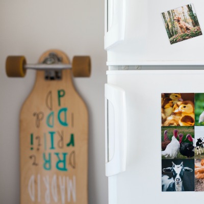жизнь холодильник фотографии магниты скейтборд