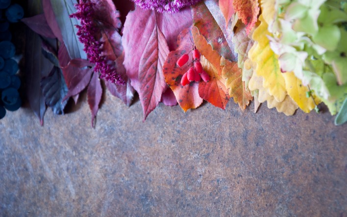 разноцветные листья плитка